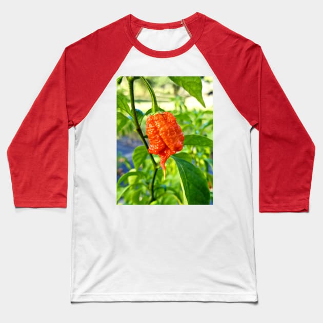 Carolina Reaper Baseball T-Shirt by Spring River Apparel 